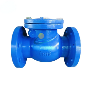 Ductile Iron Flange Swing Check Valve