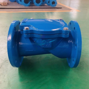 GGG50 Ductile Iron Rubber Flap Flange Check valve