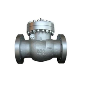 High Temperature High Pressure Check Valves