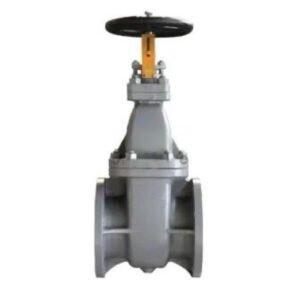 IS 10K Cast Iron Gate Valve