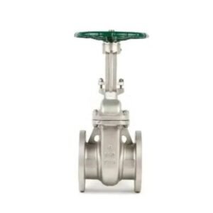 API Class 150 OS&Y Gate Valve