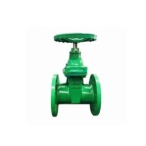 Cast Iron Rubber Seat Gate Valve