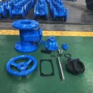 GGG50 Ductile Iron Gate Valve