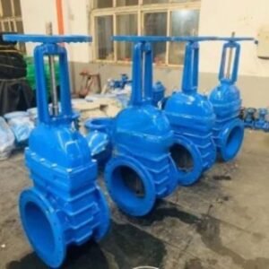 DN400 Big Size BS DIN OS&Y Rubber Seat Rising Stem Gate Valve