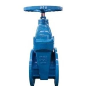 OEM Heavy Type DIN F4 Rubber Seat Gate Valve