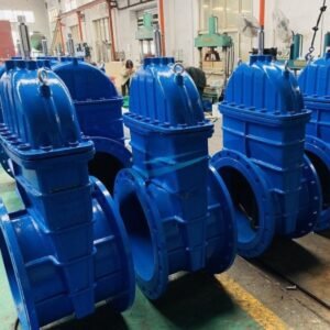 Resilient Seat Gate Valve