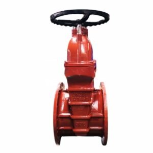 PN16 Resilient wedge Gate Valve