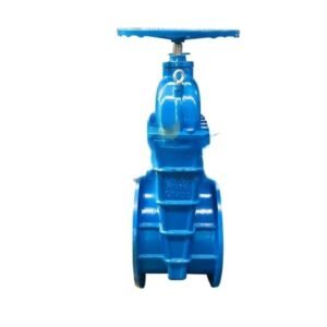 Ductile Iron Resilient Seat Gate Valve