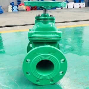 Good Quality BS5163 Ductile Iron Resilient Seat Gate Valve Largest China Manufacturer