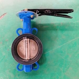 Cast Iron Ductile Iron Rubber Lined Wafer Butterfly Valve