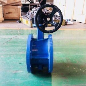 Ductile Iron Rubber Lined Double Flange Butterfly Valve