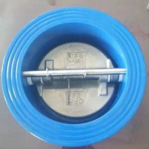 Cast Iron Dual Plate Wafer Check Valve