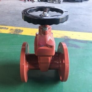 BS5163 Ductile Iron Resilient Seat Gate Valve For Drinking Water