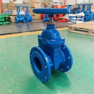 Resilient Wedge Gate Valves