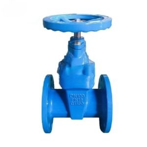 Cast Iron 3 inch Gate Valve