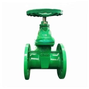 Cast Iron Rubber Seat Gate Valve