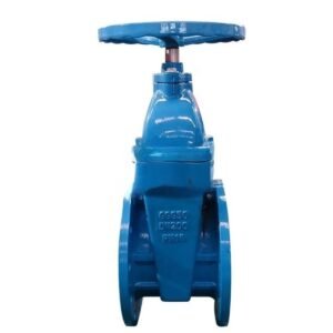 Heavy Type Ductile Iron GGG50 Gate Valve