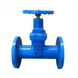 F5 DIN3202 Non-Rising Stem Gate Valve
