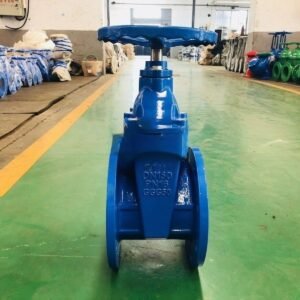 OEM Heavy Type DIN F4 Rubber Seat Gate Valve