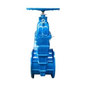 Ductile Iron Resilient Seat Gate Valve