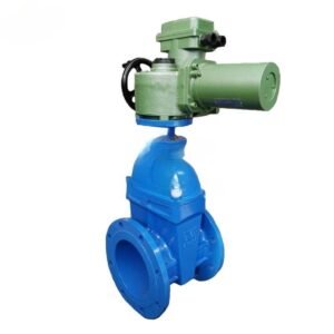 Electric Actuator Resilient Seat Gate Valve