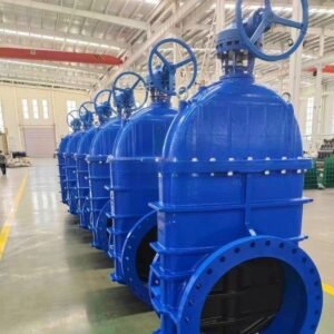 GGG50 DIN3352 Ductile Iron Gate Valve