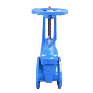 GGG50 Rising Stem Rubber Seat Gate Valve