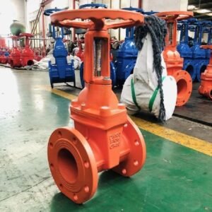 China High Quality BS5163 Ductile Iron Resilient Seat Rising Stem Gate Valve