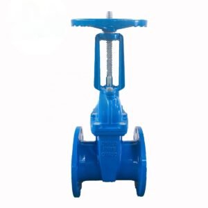 OS&Y Rising Stem Gate Valve