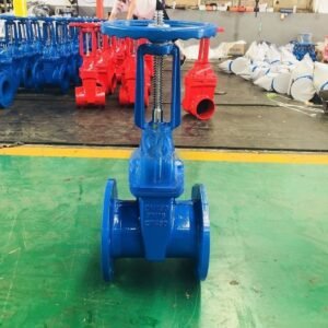 Good Quality Ductile Iron Resilient Seat OS&Y Gate Valve