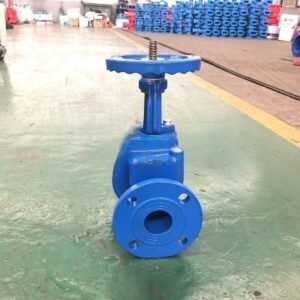 DN50 GGG40/50 Ductile Iron Resilient Seat Rising Stem Gate Valve