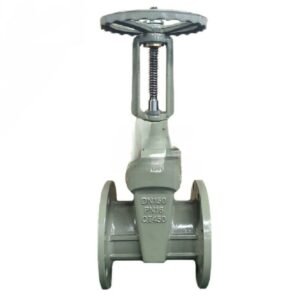 Ductile Iron Resilient Seat OS&Y Gate Valve