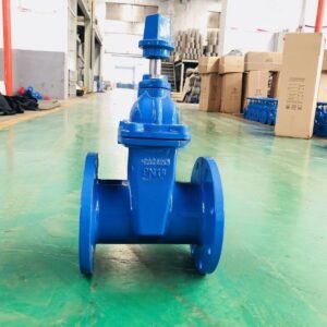 BS5163 British Standard Resilient Seat Gate Valve With Square Head