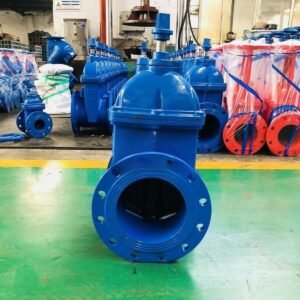 BS5163 Ductile Iron Rubber Seat Square Head Gate Valve