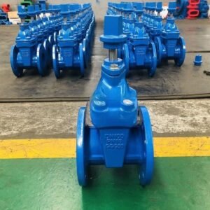 DIN3352 F4 Ductile Iron Rubber Seat Square Head Gate Valve