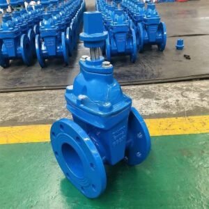 Under Ground Resilient Seat Gate Valve With Cup