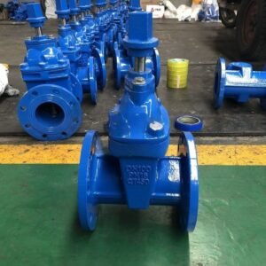 BS5163 Heavy Type Underground Resilient Seat Gate Valve With Cap Nut