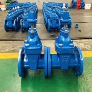 DIN3352 Underground Resilient Seat Gate Valve With Cap Nut